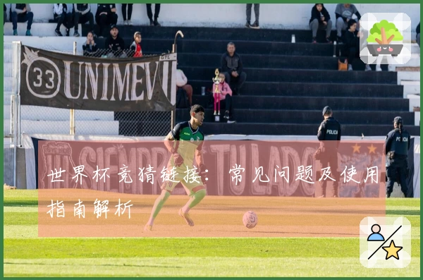 世界杯竞猜链接：常见问题及使用指南解析