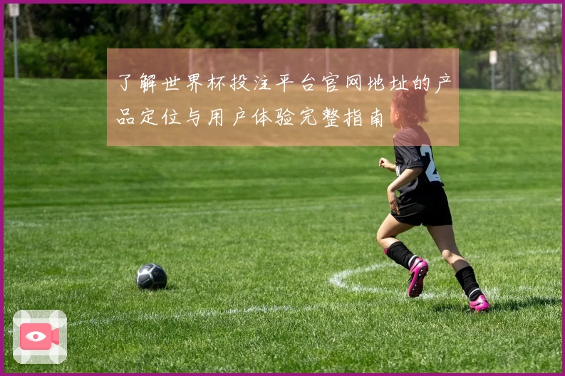 了解世界杯投注平台官网地址的产品定位与用户体验完整指南