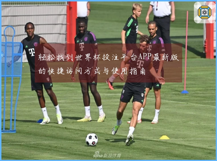 轻松找到世界杯投注平台APP最新版的快捷访问方式与使用指南
